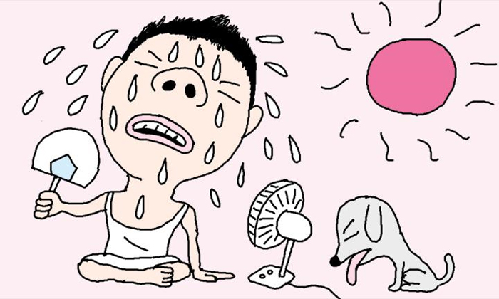 덮다 이미지