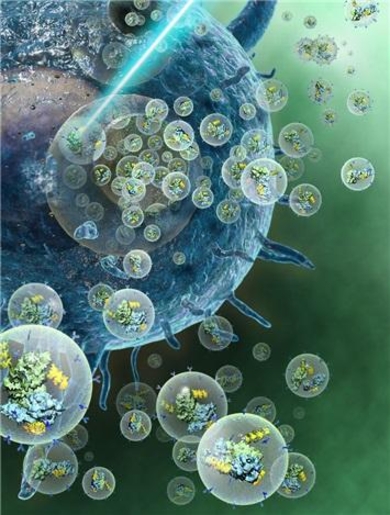  연구팀이 개발한 약물전달시스템의 모식도. 바이오의약품을 표적 세포에 정확하게 전달할 수 있다./KAIST 제공