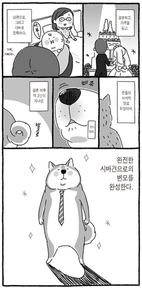 ‘시바 아저씨’에서는 가정과 회사에 충실한 중년 남성을 충견 ‘시바’에 비유한다.