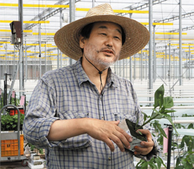 ‘민생 투어’라는 이름으로 전국을 다니고 있는 새누리당 김무성 전 대표가 12일 전북 김제의 한 농업법인이 운영하는 파프리카 농장을 둘러보고 있다.
