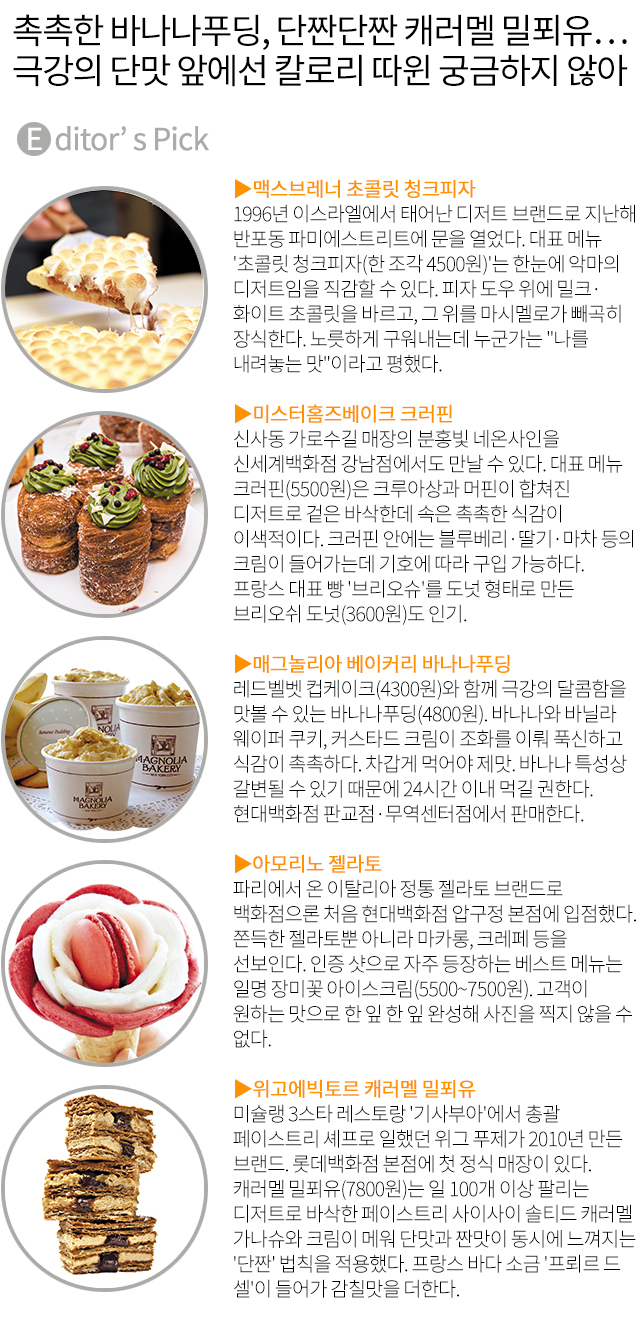 디저트라곰 이미지