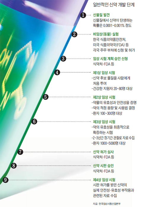 일반적인 신약 개발 단계