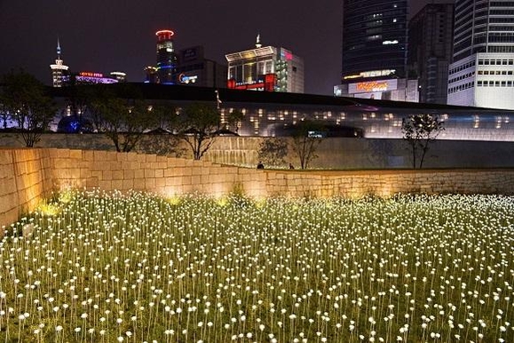  DDP의 LED 장미 정원의 모습. /서울디자인재단 제공