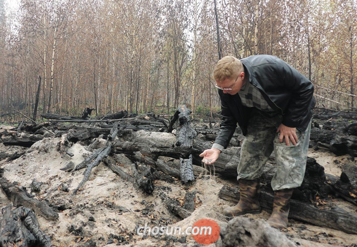 러시아 서시베리아 톰스크주(州)의 한 숲에서 러시아과학아카데미 기후생태연구소의 이고르 두카레브 박사가 산불 현장을 둘러보고 있다.