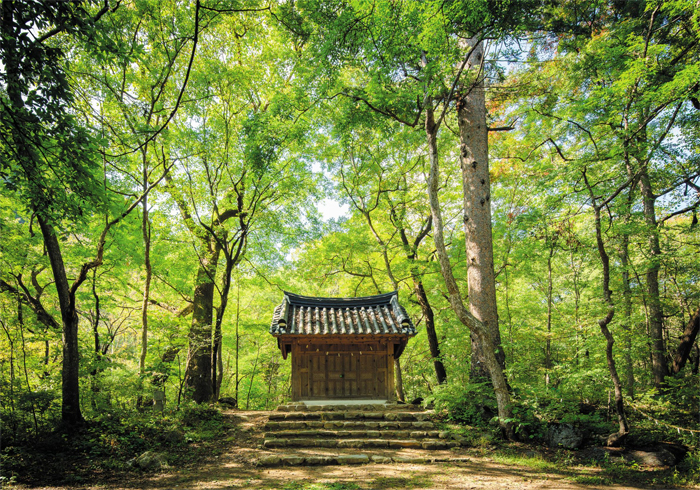 신림면에는 민초들이 섬겼던 성황림 원형이 남아 있다. 신목(神木) 두 그루가 당집을 호위한다.