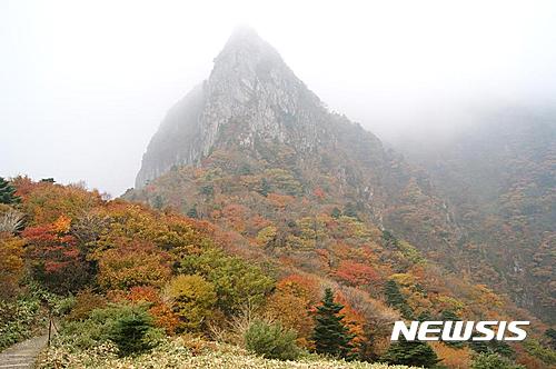 (주)제주로투어 이미지