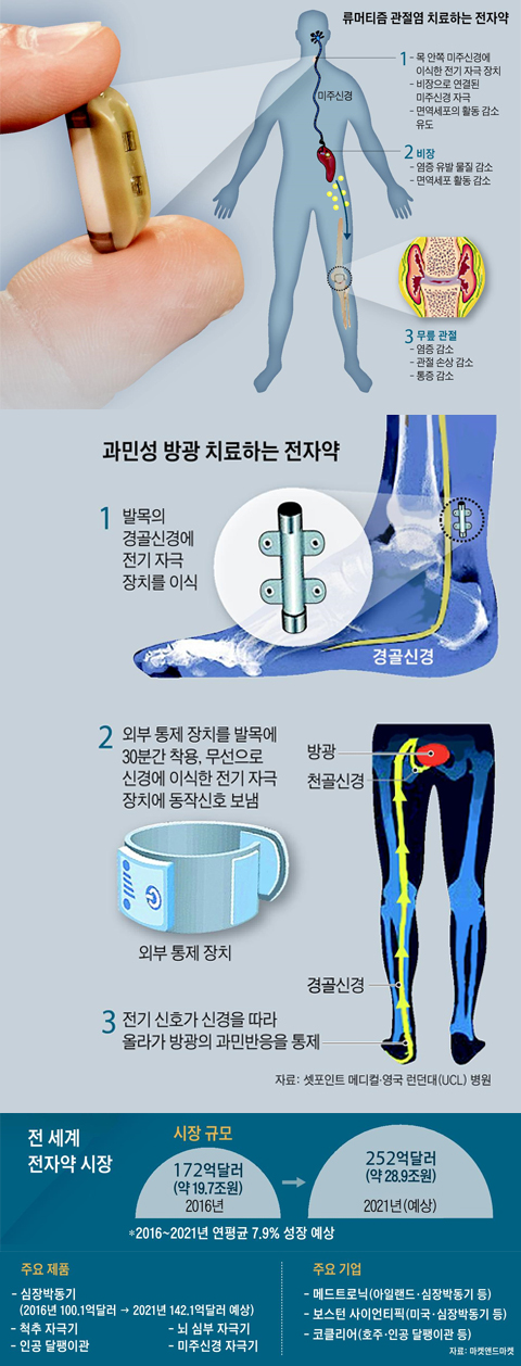 전 세계 전자약 시장 정리 표