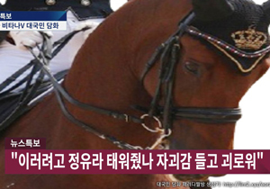 패러디 사진