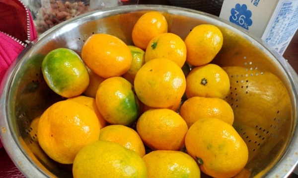 맛있게 제주 한바퀴! 제주 음식 골고루 먹어보기