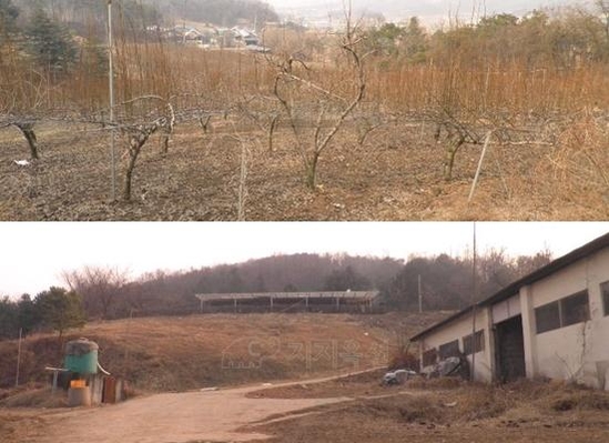  정몽선 전 현대시멘트 회장이 소유하고 있는 경기 안성시 대덕면 삼한리 토지. /지지옥션 제공