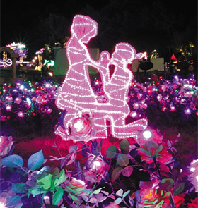 포천 허브 아일랜드의 프러포즈존.