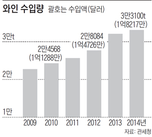 와인 수입량