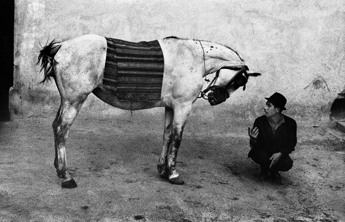 고개 숙인 말과 대화하는 집시. 삶의 고단함이 고스란히 전해진다. 1967년 슬로바키아에서 찍은 사진.