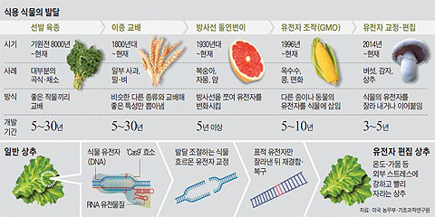 식용 식물의 발달