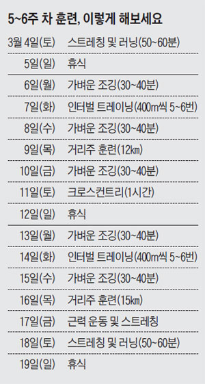 5~6주 차 훈련, 이렇게 해보세요