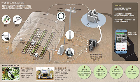 '똑똑한 농장' 스마트팜