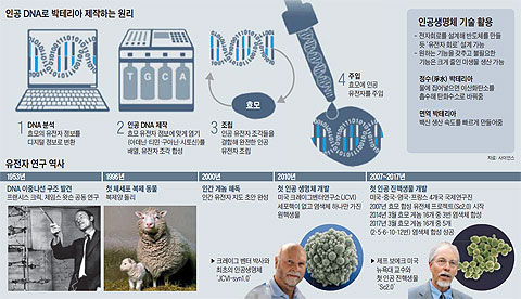 인공 DNA로 박테리아 제작하는 원리