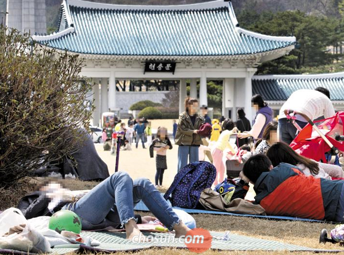 9일 오후 서울 동작구 국립서울현충원 잔디밭에 봄나들이를 나온 시민들이 돗자리를 깔고 드러누워 있다. 벚꽃 축제 중인 현충원을 찾은 일부 방문객은 술을 마시며 떠들어 추모객의 눈살을 찌푸리게 했다.