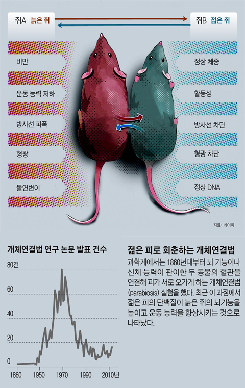 개체연결법 설명 그래픽