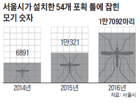 서울시가 설치한 54개 포획 틀에 잡힌 모기 숫자 그래프