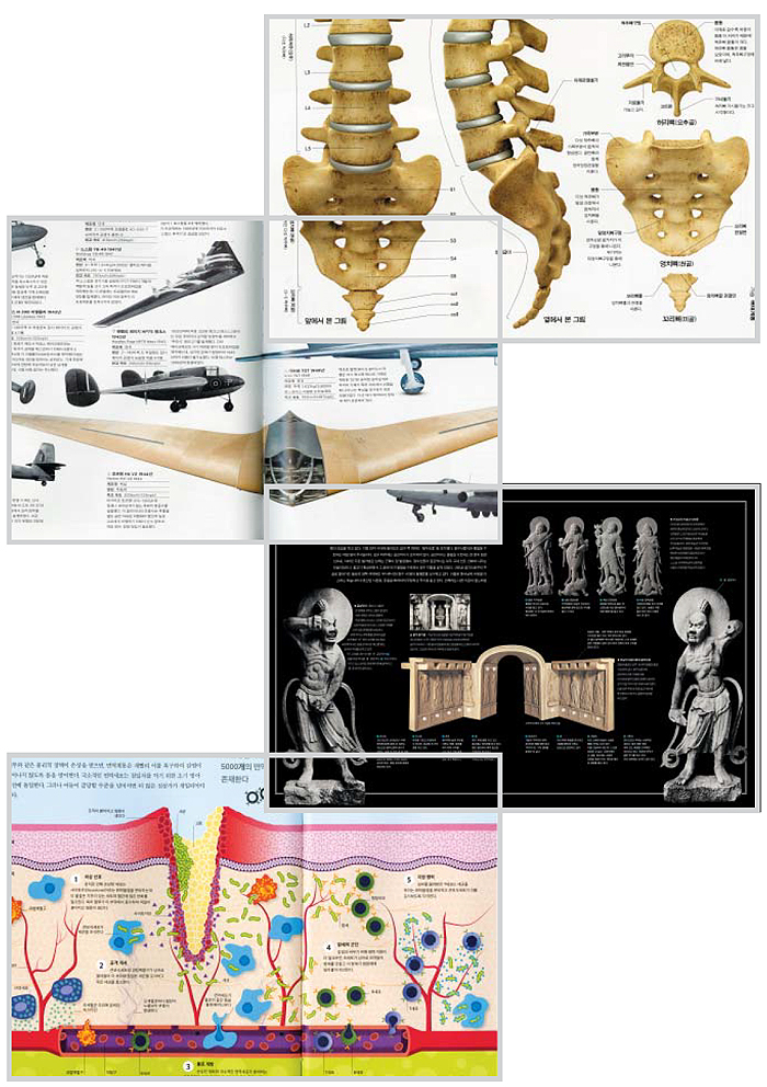 ‘인체완전판’에실린인간엉치뼈와꼬리뼈.‘ 비행기 대백과사전’에 실린‘시대를 앞서간 항공기들’에서는 맨 아래의 꼬리날개 없는 독일 글라이더‘호르텐 H6 V2’가 인상적이다. 신라 석굴암전실(前室) 부조의 의미를 설명하는‘한국생활사박물관5’.‘ 인체 원리’에서 상처 난 피부가 재생되는 과정을 보여주는 그림. 맨 위부터 각각의 설명이다. 백문이 불여일견. 사진과 인포그래픽이 시선을 앗아간다.