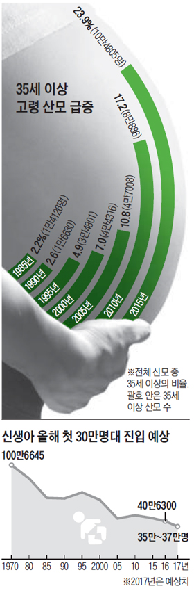 35세 이상 고령 산모 급증 그래프