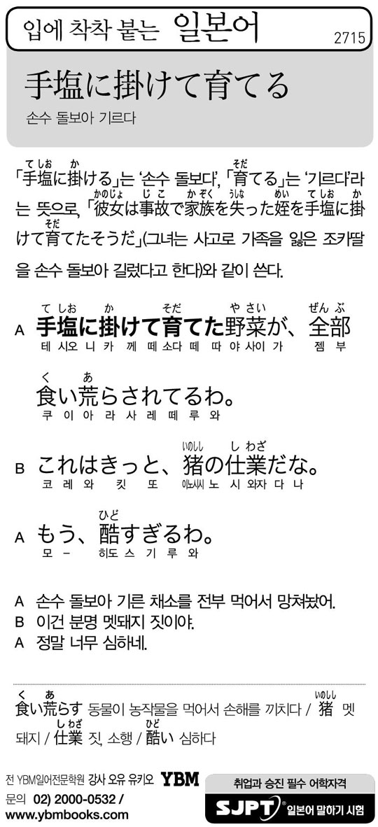 [입에 착착 붙는 일본어] 손수 돌보아 기르다