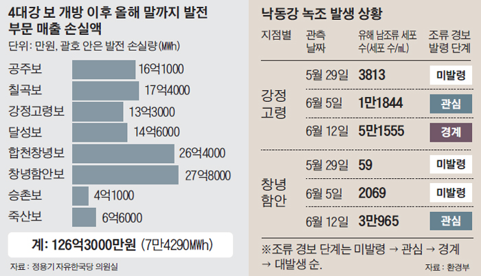 낙동강 녹조 발생 상황 표