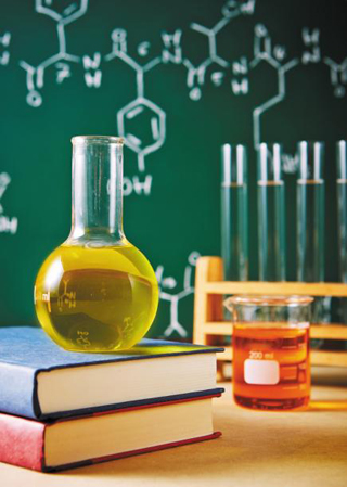 구체적 사례로 수학·과학 잠재역량 드러내야