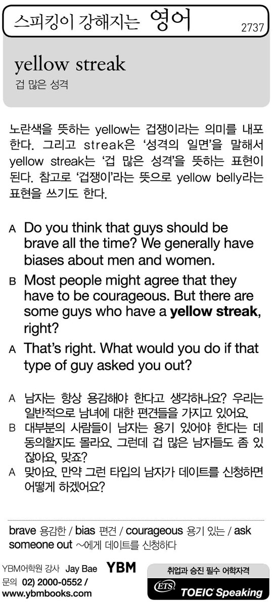 [스피킹이 강해지는 영어] yellow streak