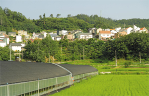 경기도 양평군