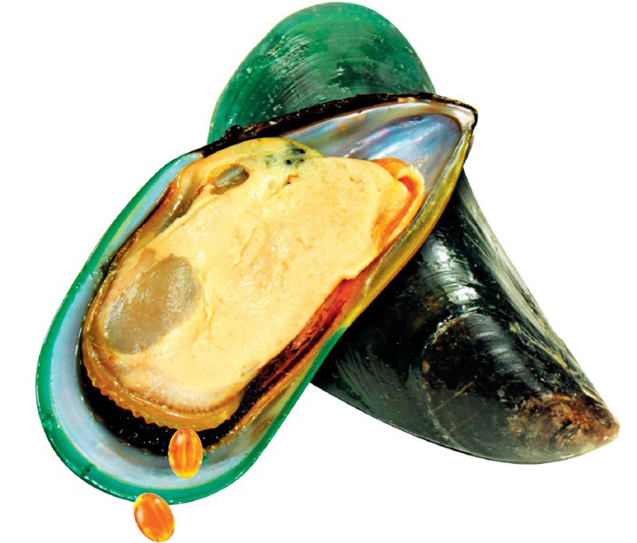 ÃÊ·ÏÀÔÈ«ÇÕ