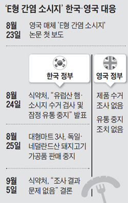 E형 간염 소시즈 한국과 영국의 대응 비교 표