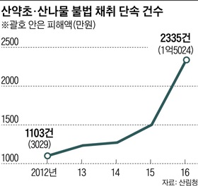 산약초·산나물 불법 채취 단속 건수