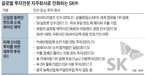 글로벌 투자전문 지주회사로 진화하는 SK 정리 표