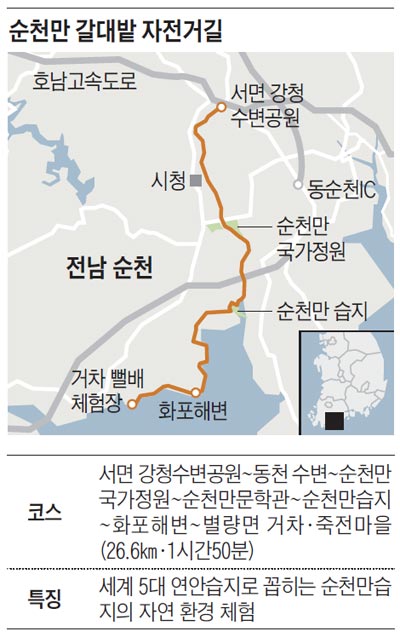 순천만 갈대밭 자전거길