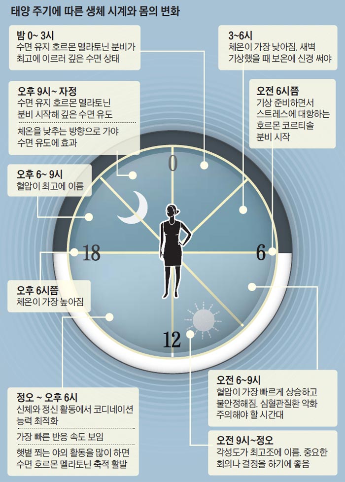 태양 주기에 따른 생체 시계와 몸의 변화