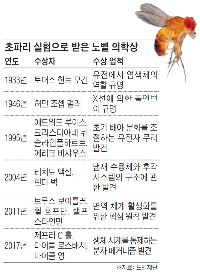 초파리 실험으로 받은 노벨 의학상