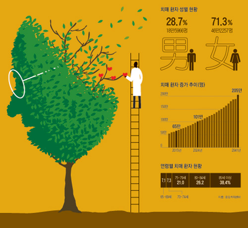 치매 환자 성별 현황 및 증가 추이