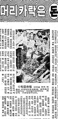 가발 수출의 절정기이던 1966년 “서울 창신동 6000여 가구 주민 상당수가 머리칼 수집상이 되어 동네 전체가 머리칼 부자마을이 됐다”고 소개한 신문기사. 한때 수출용 머리카락의 3분의 1이 이 동네에서 나왔다고 했다(조선일보 1966년 8월 14일 자).