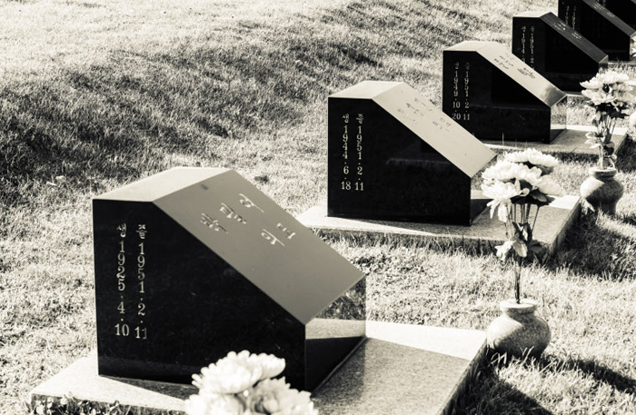 거창양민학살사건 추모공원에 있는 비석들. 사망 날짜가 1951년 2월 9일, 10일, 11일로 똑같다.