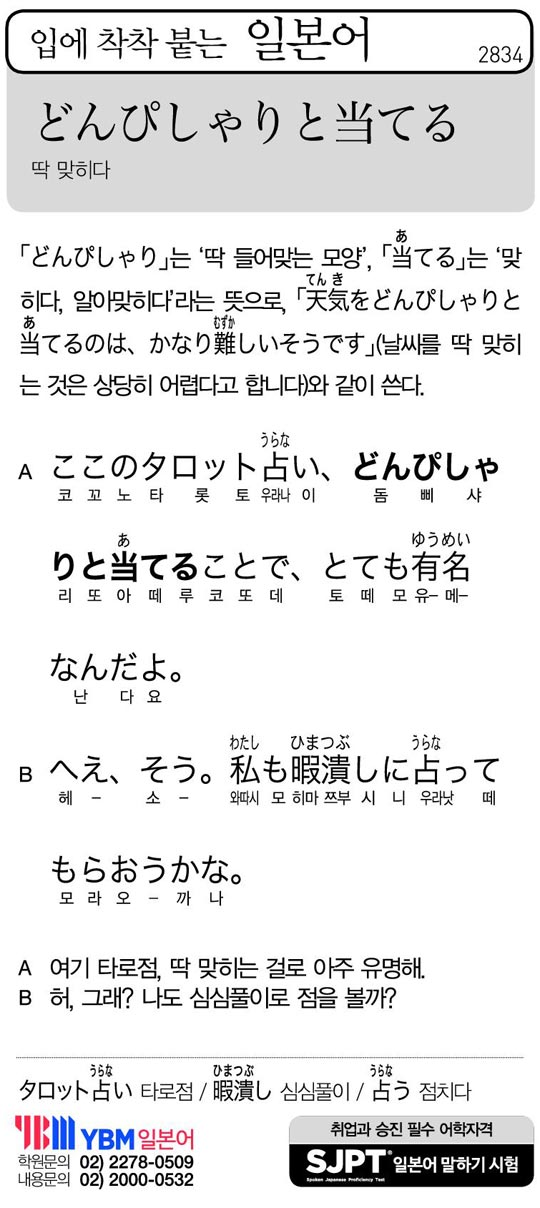 [입에 착착 붙는 일본어] 딱 맞히다