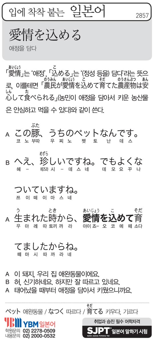[입에 착착 붙는 일본어] 애정을 담다
