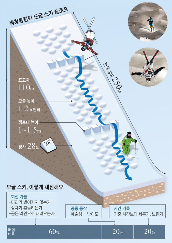 모굴 스키 슬로프 그래픽