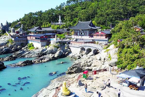옐로우버스 이미지