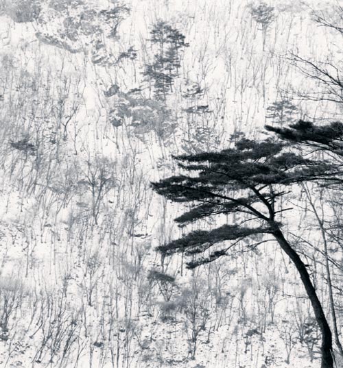 2012년 강원도 평창의 겨울 풍경을 담은‘산행’.