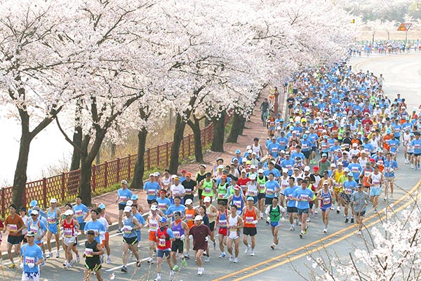 이번 대회의 참가접수기한은 3월 23일까지이며, 경주시는 1만4000명을 선착순으로 접수받는다고 밝혔다.