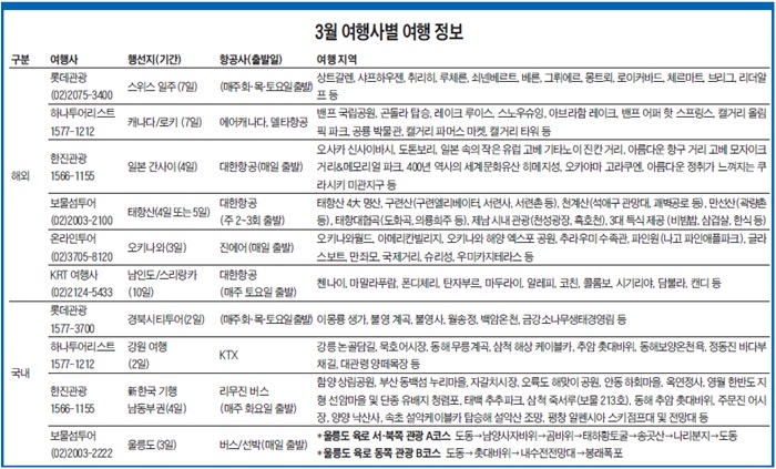 3월 여행사별 여행 정보