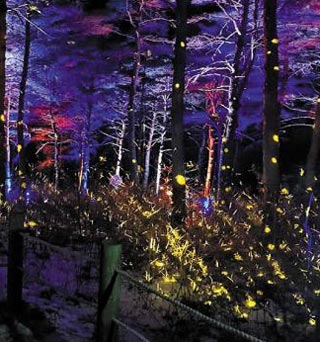 평창 동계패럴림픽 기간에 다시 선보이는 미디어아트쇼‘청산☆곡’의 한 장면.