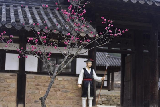 홍매 이미지